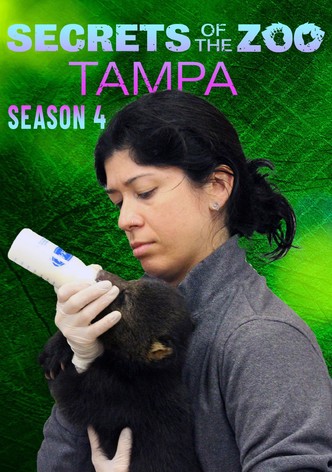 Secrets of the Zoo: Tampa, Season 4