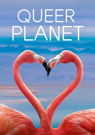 Animaux : le sexe en toute liberté