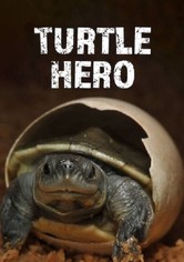 Turtle Hero: Ein Leben Fur Die Schildkroten