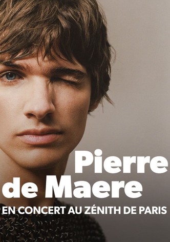 Pierre de Maere en concert au Zénith de Paris