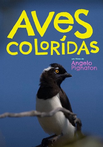 Colored Birds
