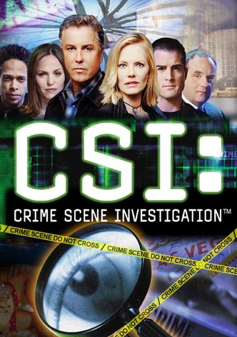 CSI - Den Tätern auf der Spur