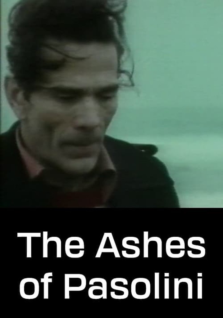 Le ceneri di Pasolini