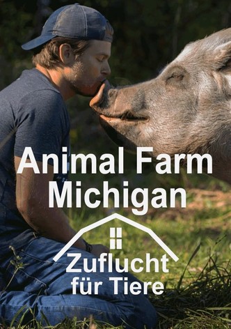 Animal Farm Michigan - Zuflucht für Tiere