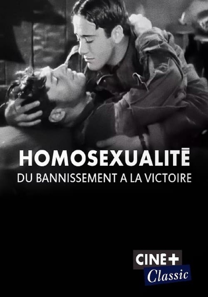 Homosexualité au cinéma, les chemins de la victoire