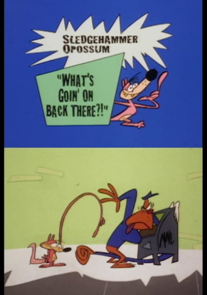 Sledgehammer O'Possum - What's Going on Back There?