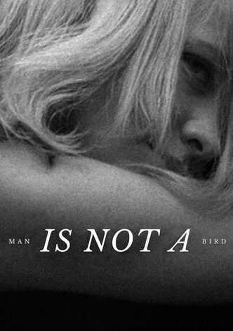 Man Is Not a Bird