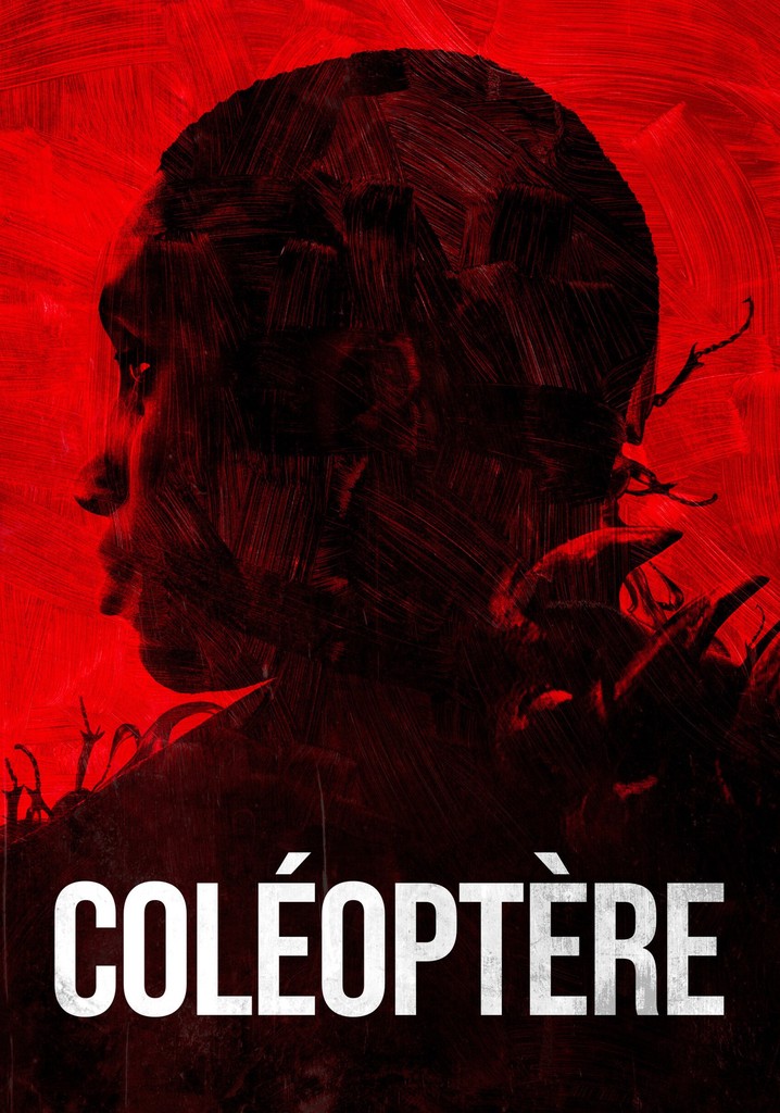 Coléoptère