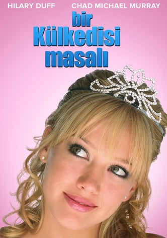 Bir Külkedisi Masalı