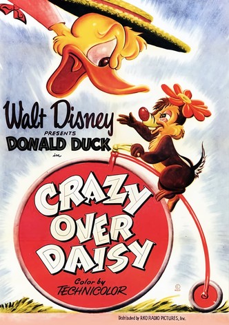 Crazy Over Daisy