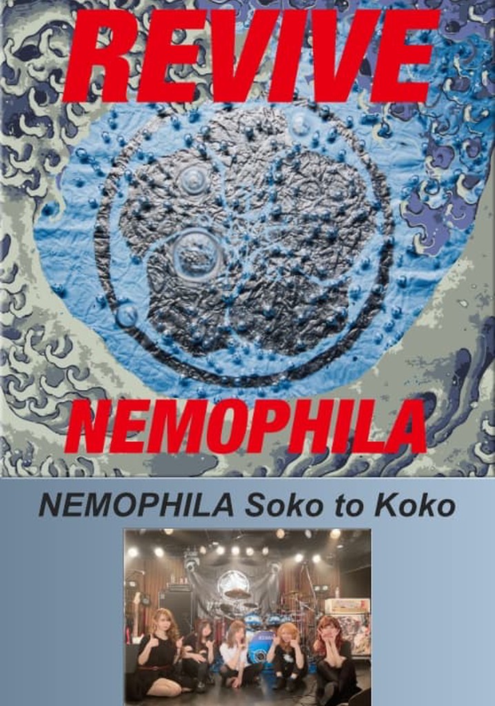 NEMOPHILA Soko to Koko