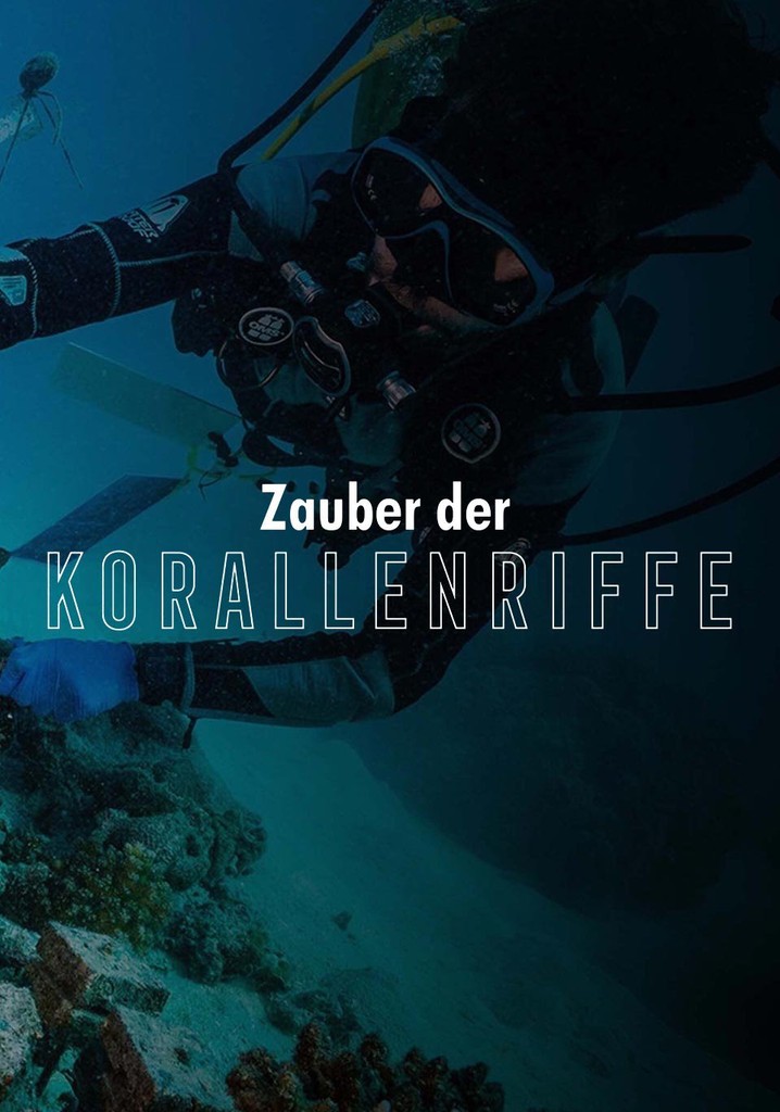 Zauber der Korallenriffe: Der Indische Ozean