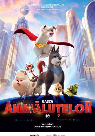 Gașca Animăluțelor DC