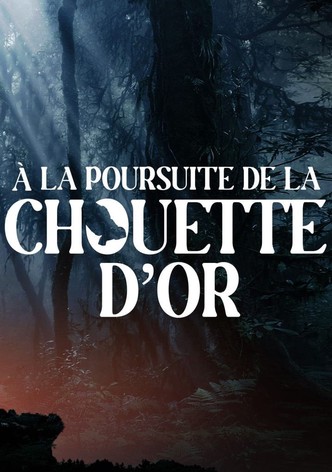 A la poursuite de la chouette d'or