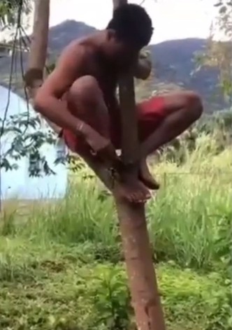 Saci