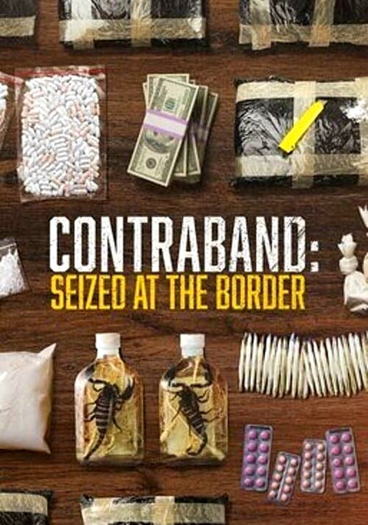 Contraband: Seized at the Border - streaming online