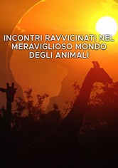 Incontri ravvicinati nel meraviglioso mondo degli animali