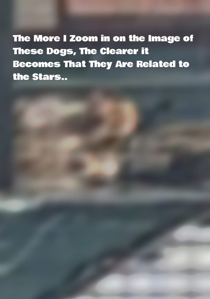The More I Zoom in on the Image of These Dogs, The Clearer it Becomes That They Are Related to the Stars.