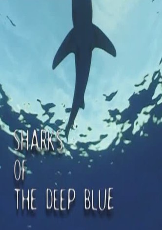 Sharks of the Deep Blue