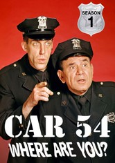 Car 54, Where Are You? - Säsong 1