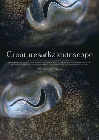 Creatures of the Kaleidoscope