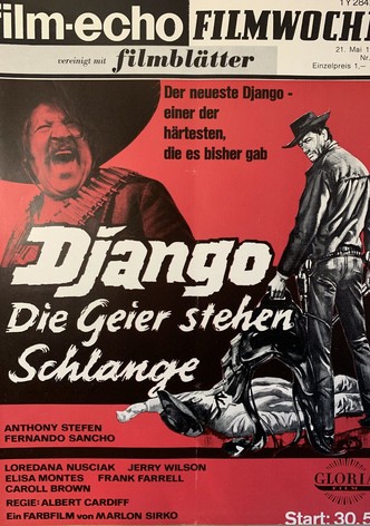 Django - Die Geier stehen Schlange