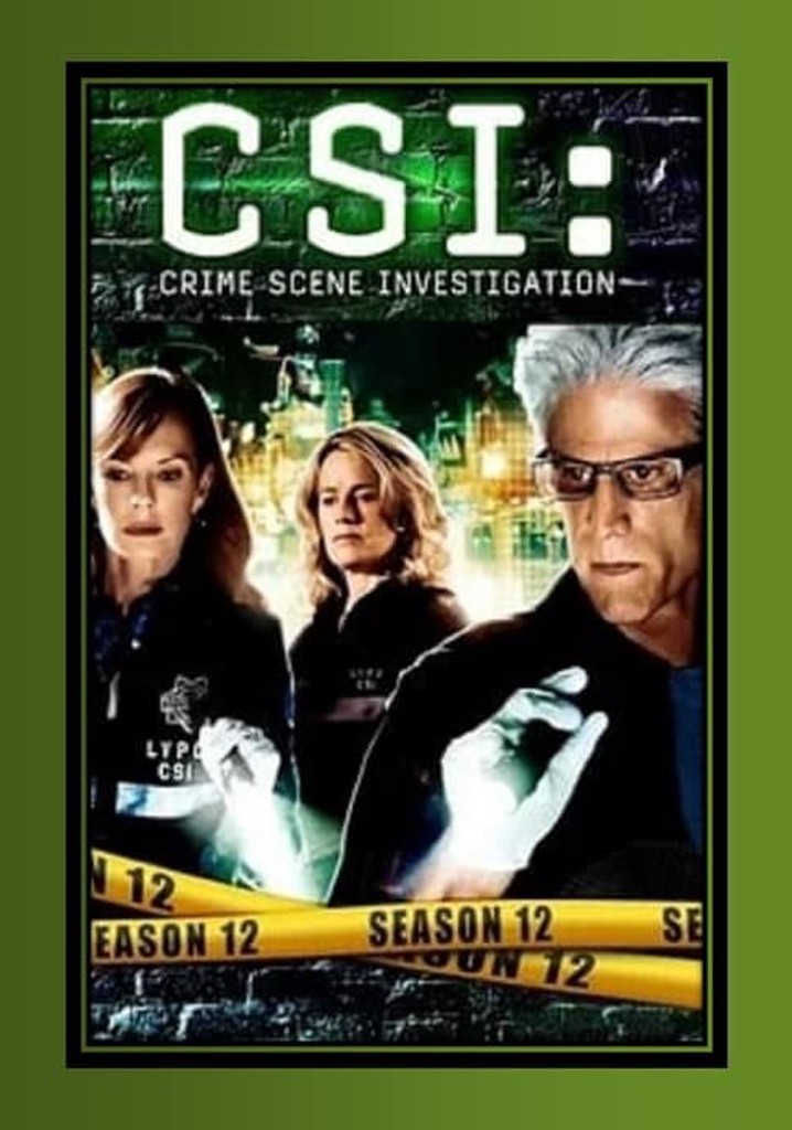 CSI Scena del crimine Stagione 12 streaming online