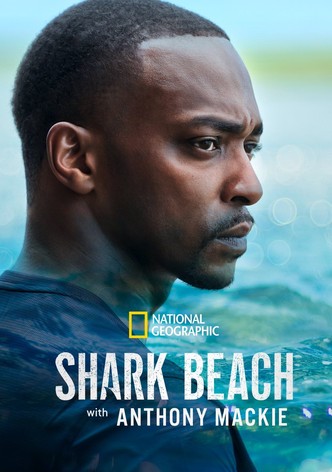 Shark Beach with Anthony Mackie