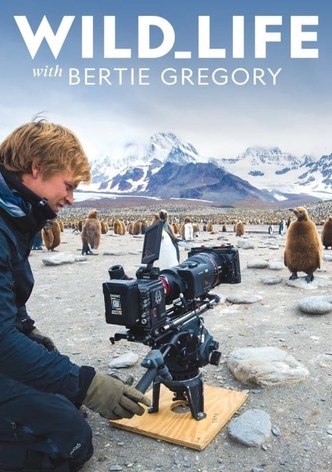 Wild Life: The Big Freeze