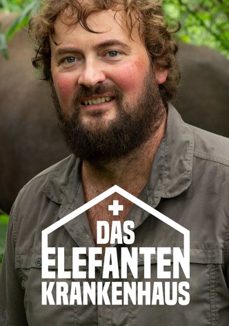 Das Elefantenkrankenhaus