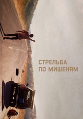 Стрельба по мишеням