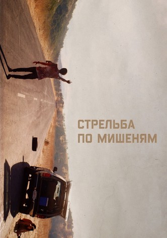 Стрельба по мишеням