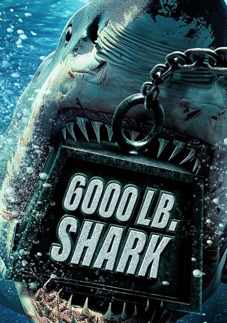 6000-LB. Shark - Season 1
