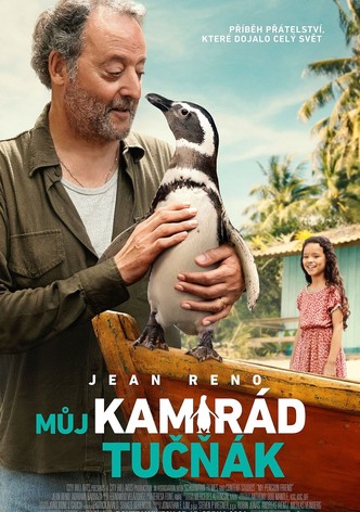 Můj kamarád tučňák