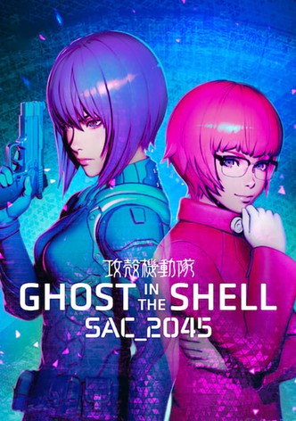 Ghost in the Shell: SAC_2045