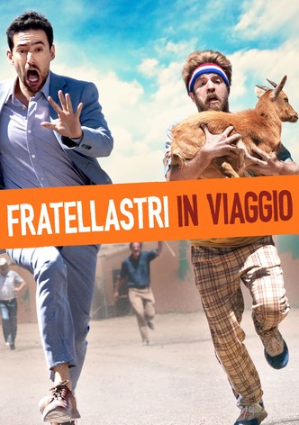 Fratellastri in viaggio