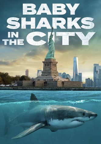 Baby Sharks in the City