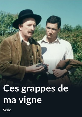 Ces grappes de ma vigne