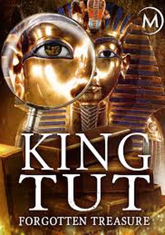 King Tut: Forgotten Treasure