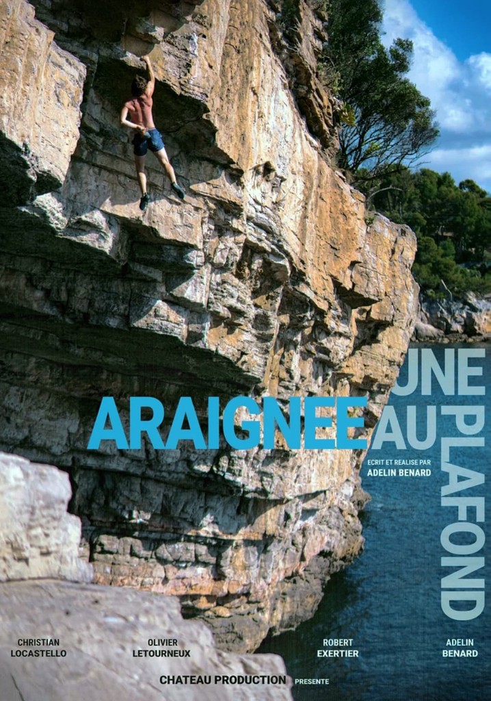 Une Araignée au Plafond