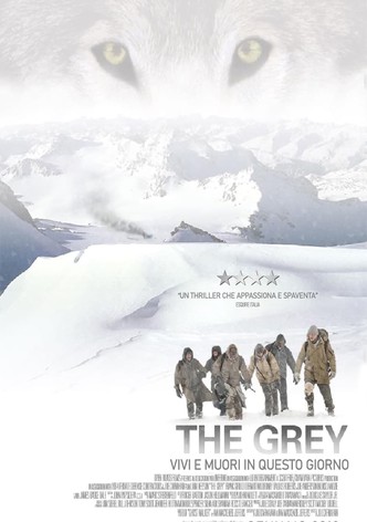 The Grey