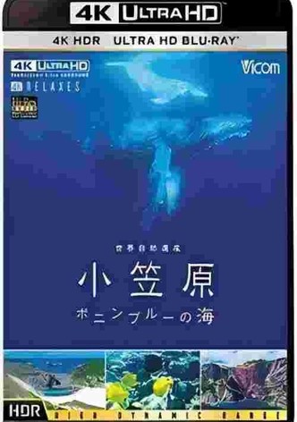 世界自然遺産 小笠原 ~ボニンプル-の海~
