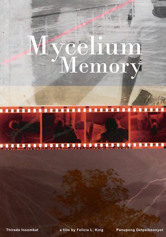 Mycelium Memory