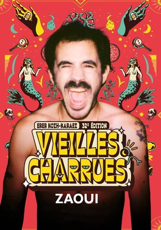 Zaoui en concert aux Vieilles Charrues 2024