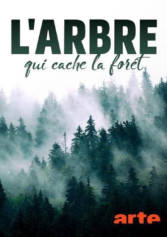 L’arbre qui cache la forêt