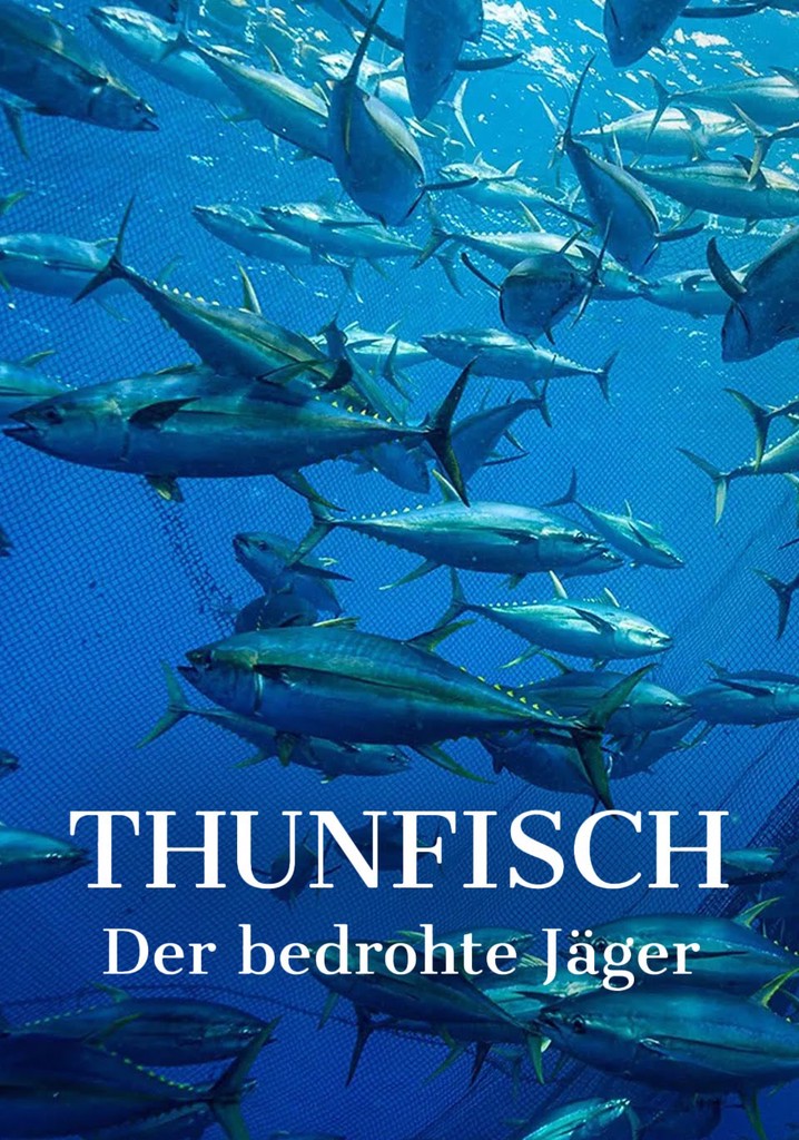 Thunfisch - Der bedrohte Jäger