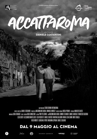 Accattaroma