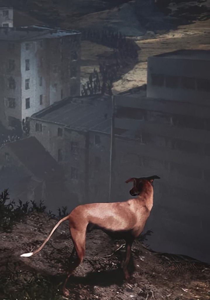 Songs for a Passerby