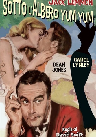 Sotto l'albero yum yum