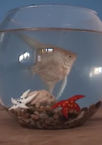 El gabinete del doctor mojado - Piloto CNTV